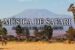 Música Étnica Africana Estilo Safari com Sons de Animais ao Fundo - Hora de Acalmar e Desestressar