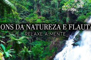 Acalmar - Flauta e Sons da Floresta, Relaxar com Música Zen e Natureza - Meditar e Dormir