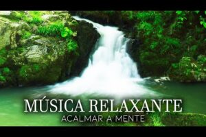 Estado de Relaxamento - Música para Relaxar e Natureza, Encontre a Calma de sua Mente