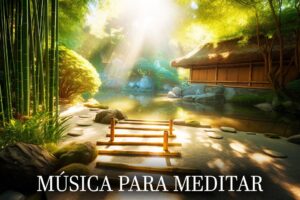 Hang Drum, Flauta y Tabla, Extremadamente Relajante - Música Zen para Meditar y Relajar, Dormir